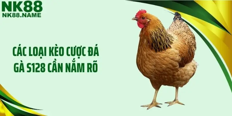 Các loại kèo cược đá gà S128 cần nắm rõ